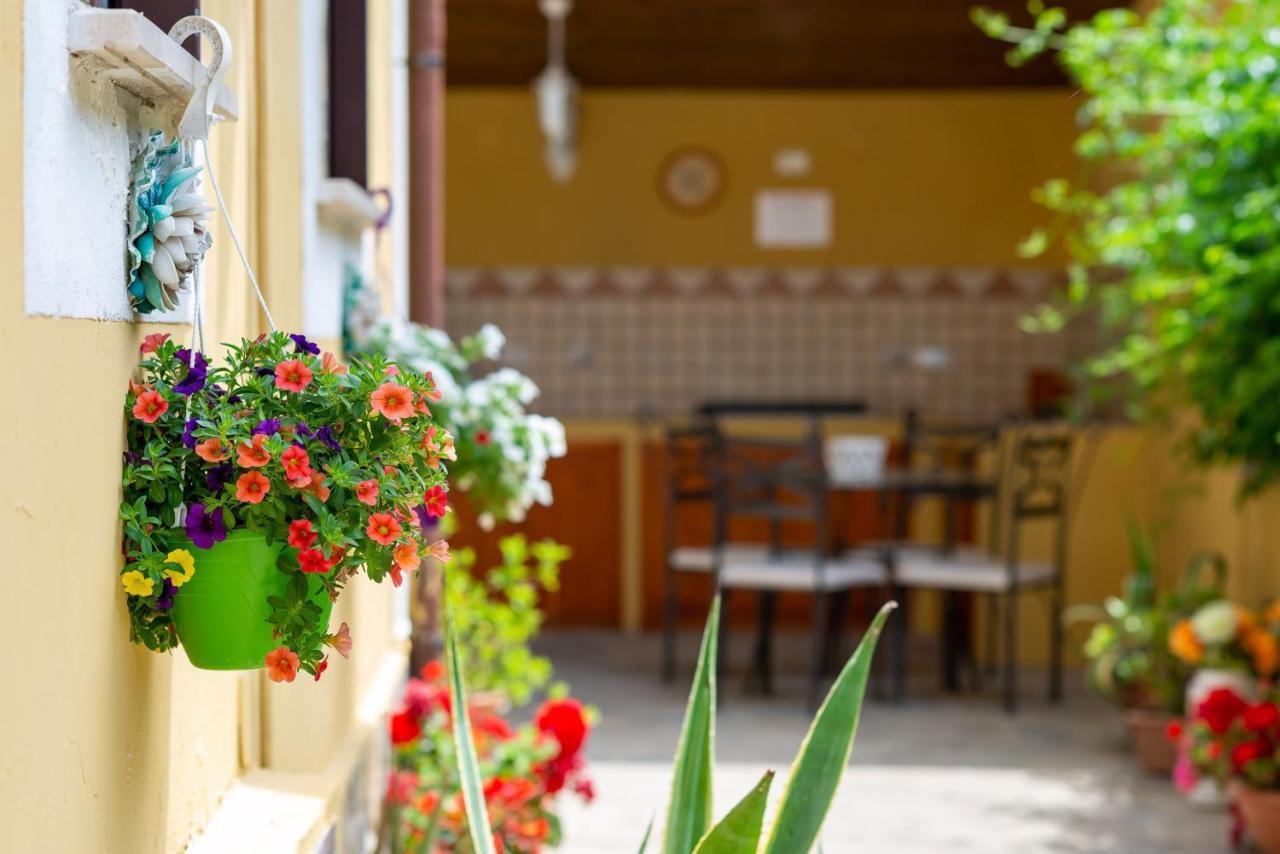 B&B Martina Agropoli Εξωτερικό φωτογραφία