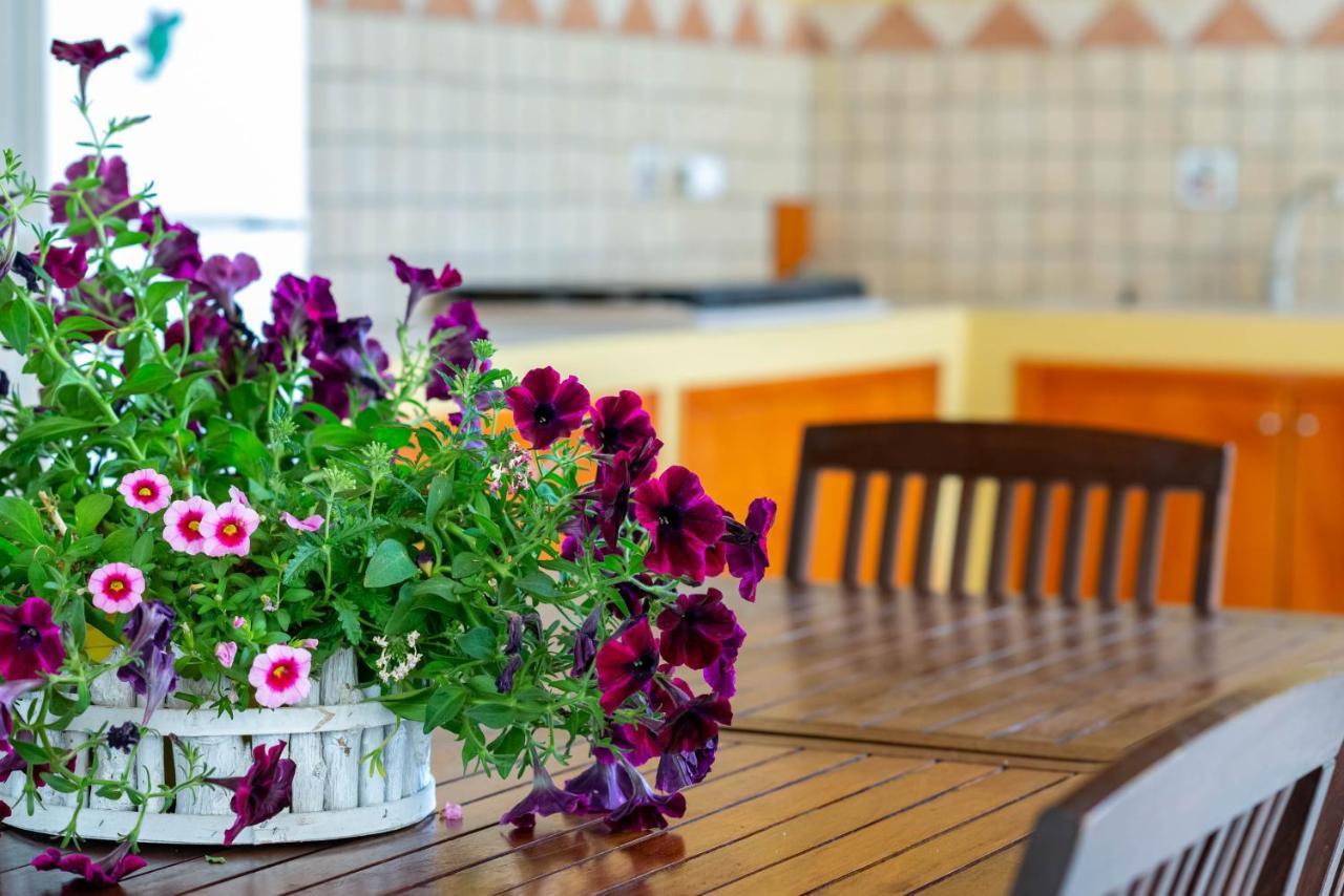 B&B Martina Agropoli Εξωτερικό φωτογραφία