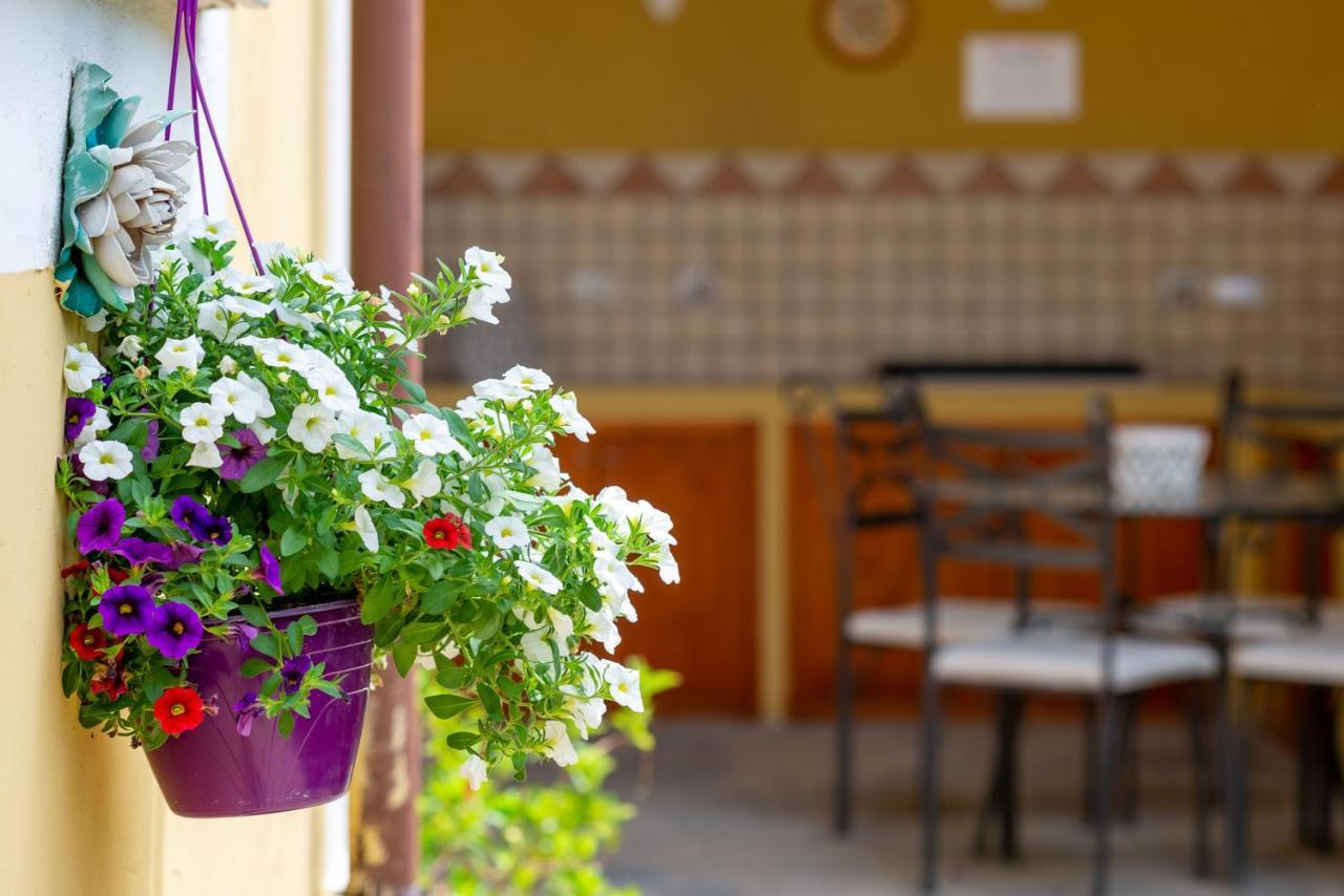 B&B Martina Agropoli Εξωτερικό φωτογραφία